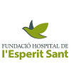 Fundació Hospital de l'Esperit Sant